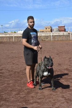 King de Candido