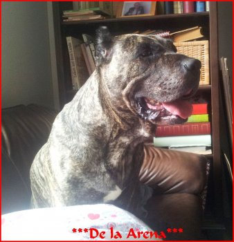 Riqueza de la Arena