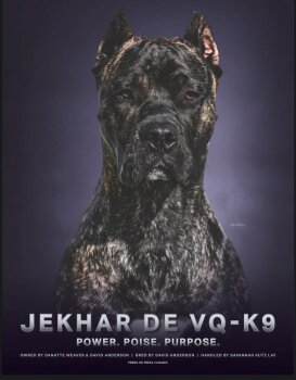 Jekhar de VQ-K9
