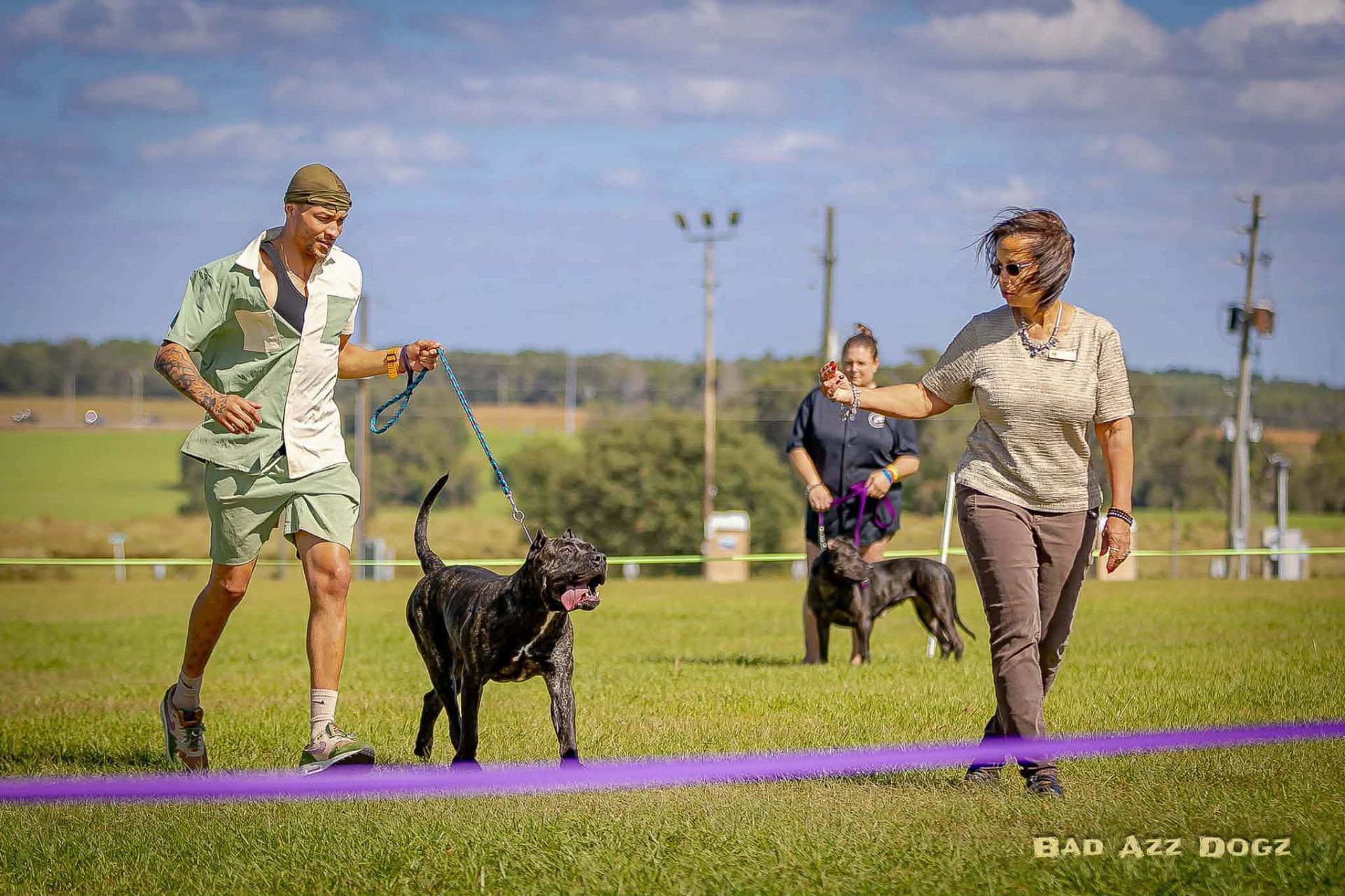 Working Dogs