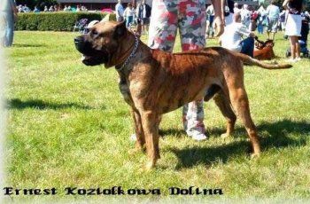 Ernest Koziolkowa Dolina